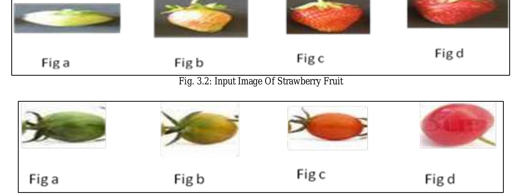 (PDF) Assessment of Fruit Maturity using Digital Image Processing
