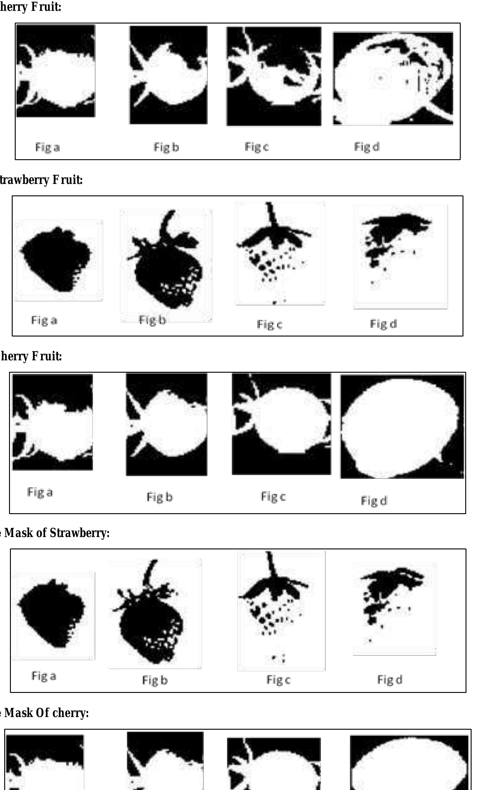 (PDF) Assessment of Fruit Maturity using Digital Image Processing