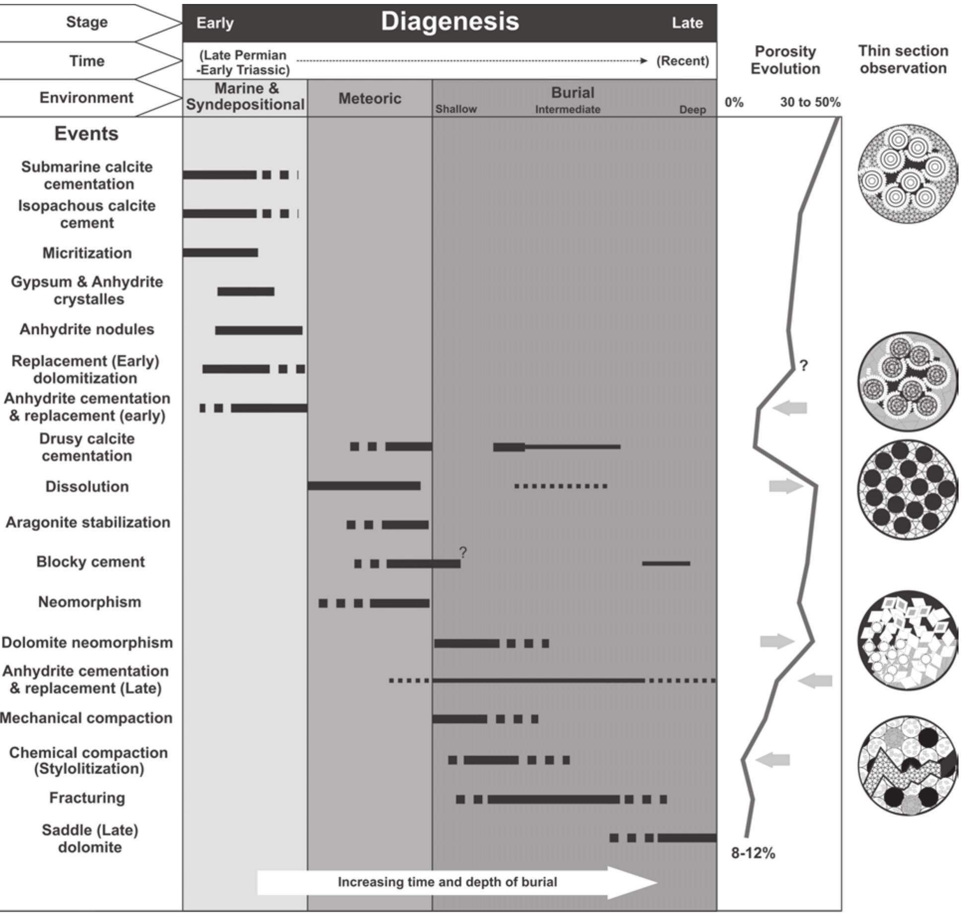 Dolomization Process Figure 1 - from DOLOMITIZATION AND ANHYDRITE PRECIPITATION
