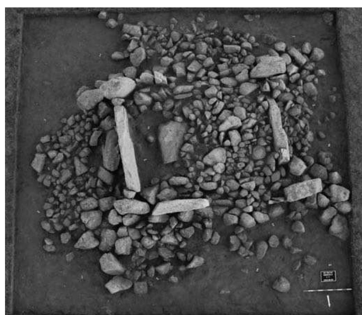 3ypar 8. Ap 6yaanzuiin 2-p byau 