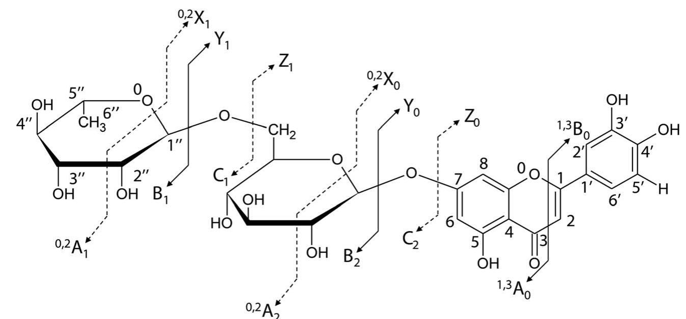Luteolin Fragmentation Figure 6 - from Structural characterization of flavonoid