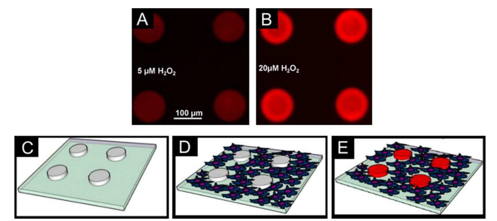 (PDF) Hydrogels in sensing applications