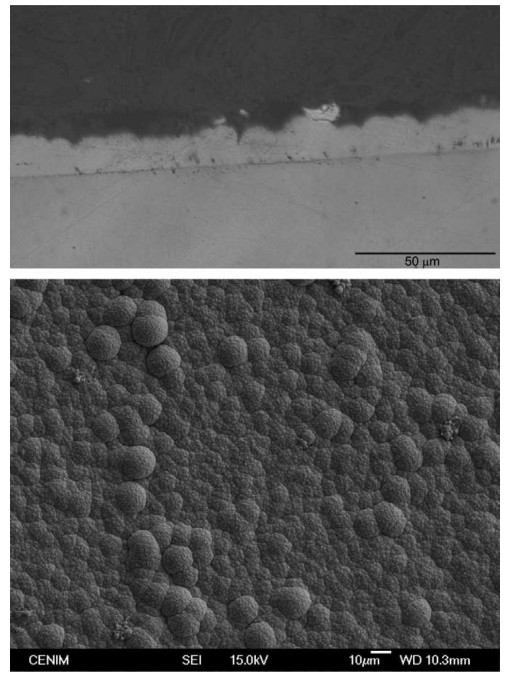 Cross section and sem micrograph of the surface of the
