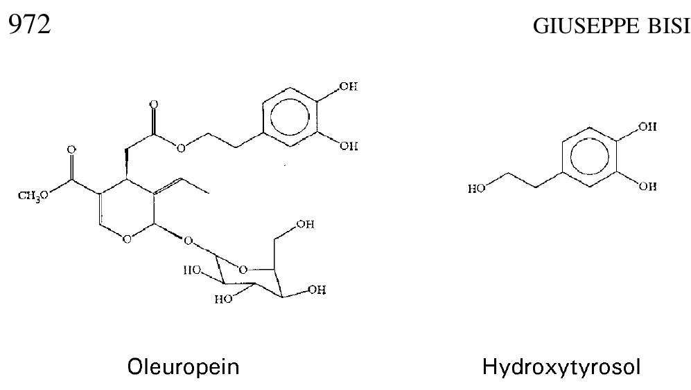 (PDF) On the in‐vitro antimicrobial activity of oleuropein and ...