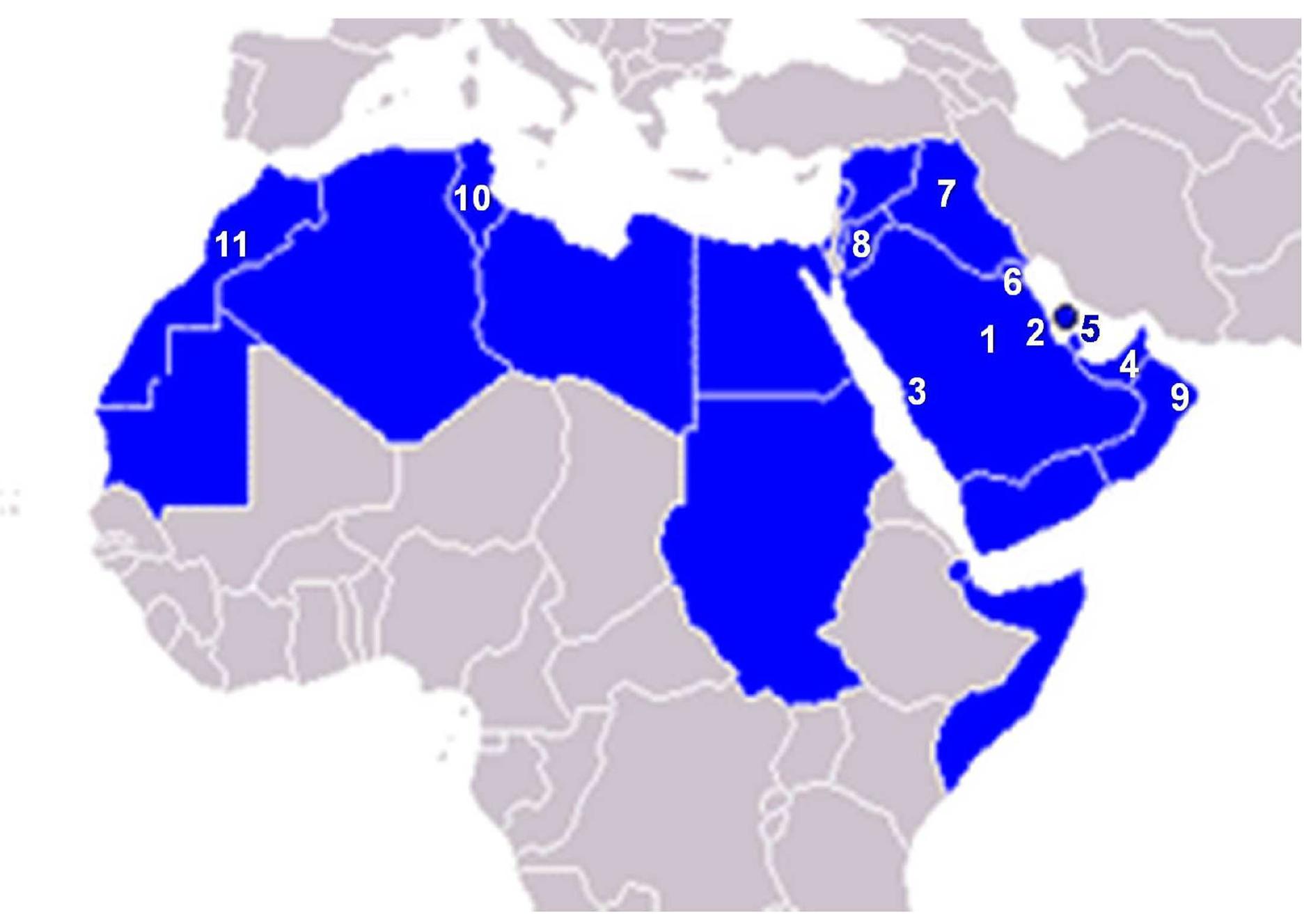 | map of the arab countries showing the participating cities