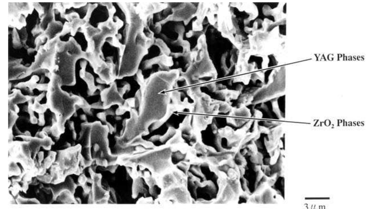 7. scanning electron microscope image showing the