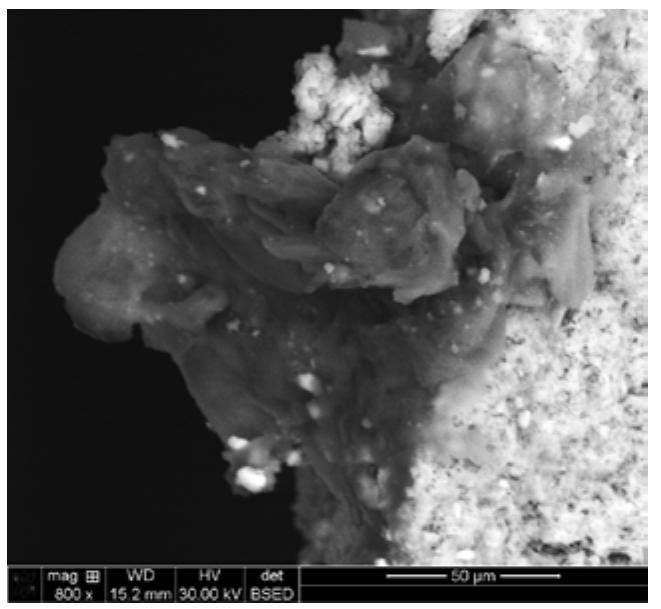 An investigation of the blue pigment in thin section showed the presence of anisotropic crystals with tubular shape, and refractive in- dex less than 1.66.compaed to the canada bal- sam medium used in the sample preparation. these properties are typical of cuprorivaite, the crystal shape was also observed under sem in- vestigation (fig no.13) i.e. egyptian blue. ele- mental analysis using xrf analysis indicated the presence of copper as a main component; iron also being present. the analysis also indicated the presence of lead (fig no.14). the presence of lead and traces of other elements as tin and zinc is of paramount importance as this may indicate the reuse of bronze alloy as a source of copper for the fabrication of the egyptian blue.  Figure 13 SEM image of the blue paint layer revealed the presence of coarse grains and tubular shaped crystals . 