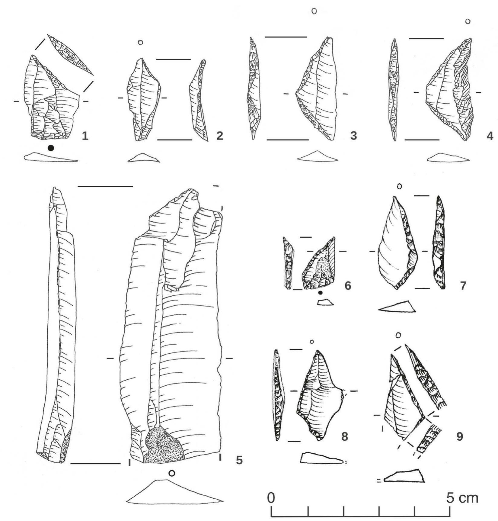 Fig. 3 Aselection of the lithic artefacts from Heek-Nienborg and Werl-Biiderich. Scale: 1:1. Heek-Nienborg: 1 Zonhoven point; 2 Concave truncated point; 3 Isosceles triangle; 4 Elongated trapeze; 5 One of the broad blades. Werl-Biiderich: 6 Zonhoven point with a unilateral edge retouch; 7 Rhombic slightly bend point; 8 Slightly notched point; 9 Fragment of a triangle (Drawings: LWL-Archaologie fiir Westfalen/J. Piesniewski; Universitat zu K6In/B. Gehlen; Graph: A. Zander and K. Vogl). 