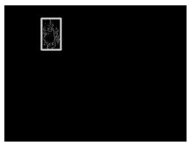 Figure 2: Foreground image of Figure 1 