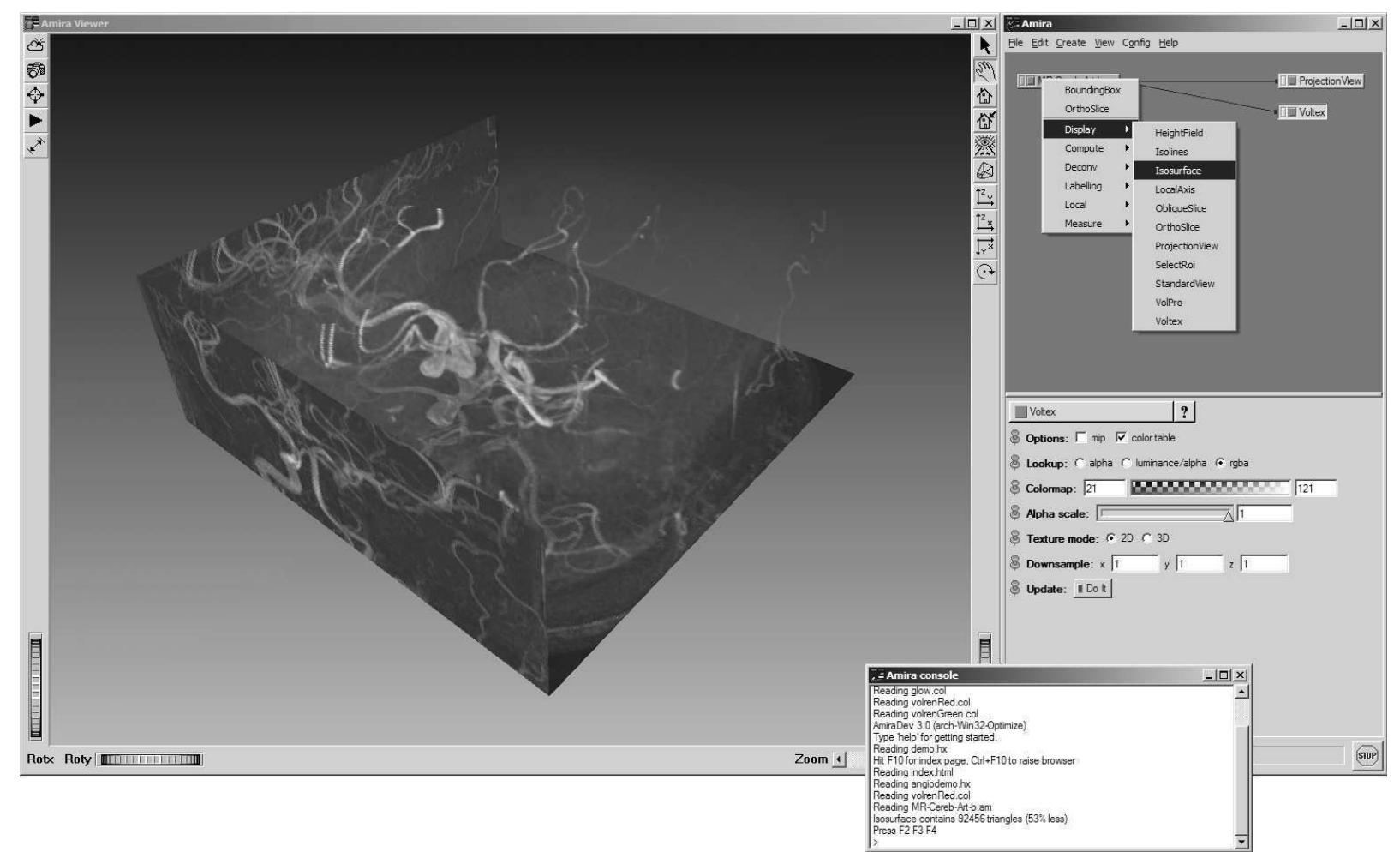(PDF) Amira: a highly interactive system for visual data analysis
