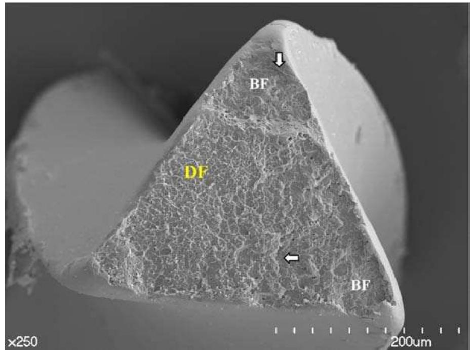 Scanning electron microscope images of the fracture surface