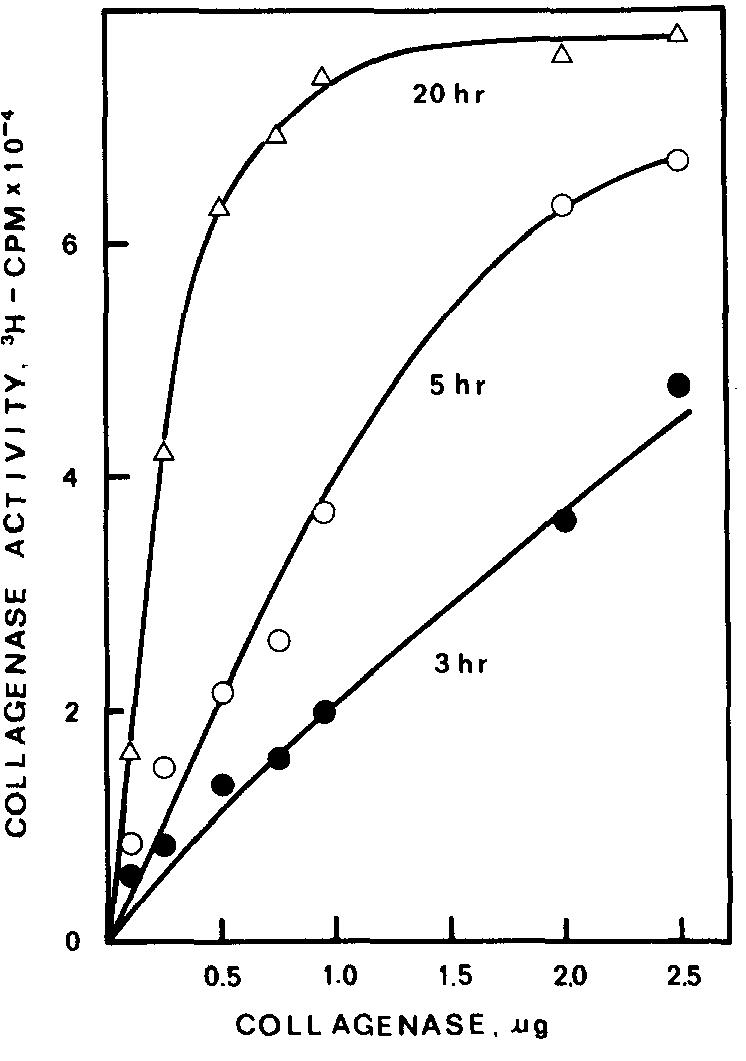 (PDF) A new assay for collagenolytic activity