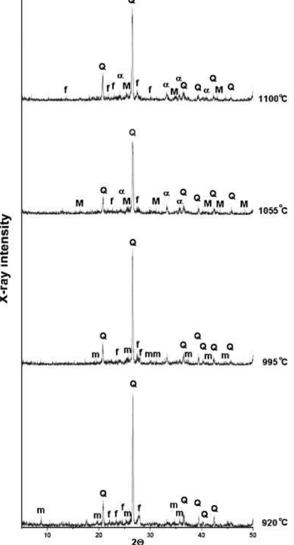(PDF) Microbial Deterioration of Clay Roofing Tiles as a Function of ...