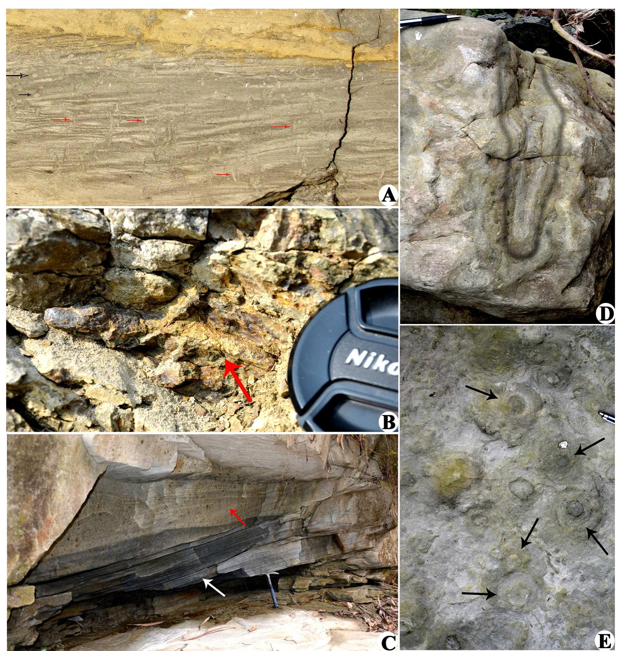 Parallel Strata Figure 7 - from Depositional Environment of Mio-Pliocene