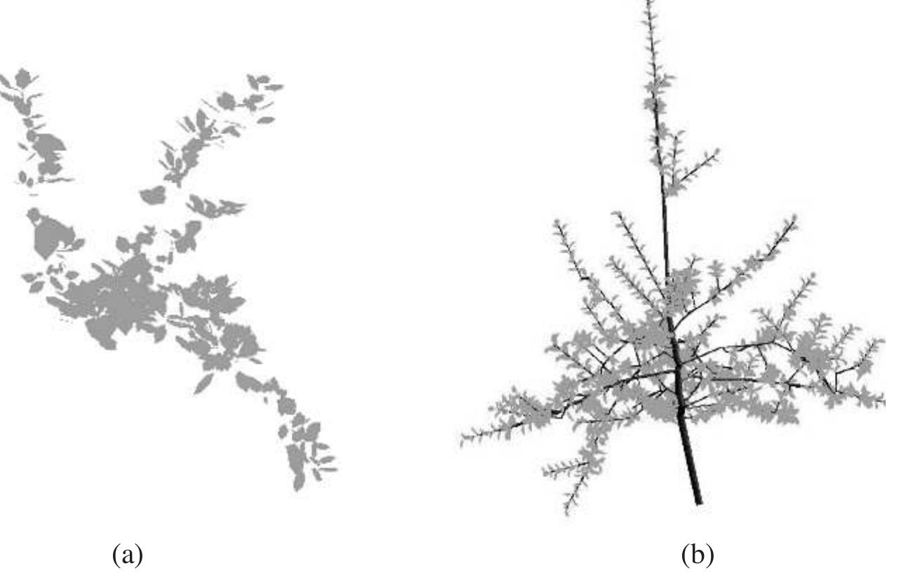 (PDF) Analyzing fruit tree architecture: implications for tree ...