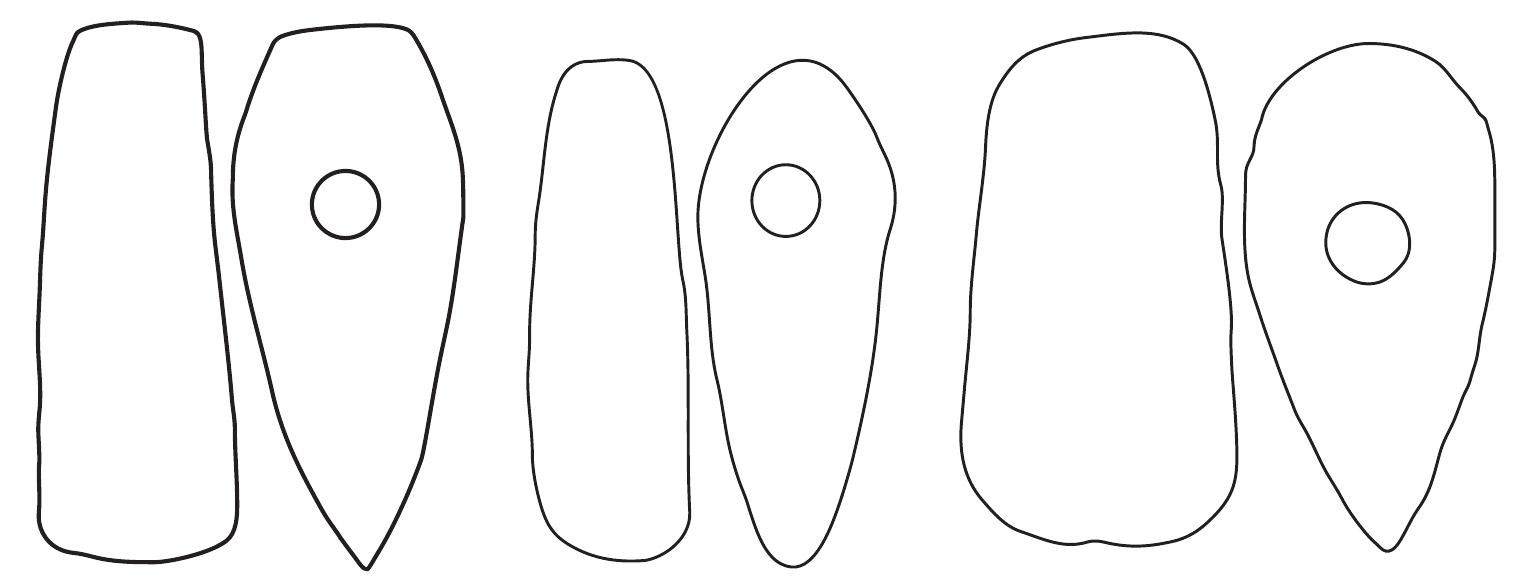 Neolityczne toporki kamienne z dawnych odkryé w okolicach Suchania Neolithic stone axes from past discoveries made in the region of Suchan  Neolityczne toporki kamienne z dawnych odkryé w okolicach Suchania  Neolithic stone axes from past discoveries made in the region of Suchan 