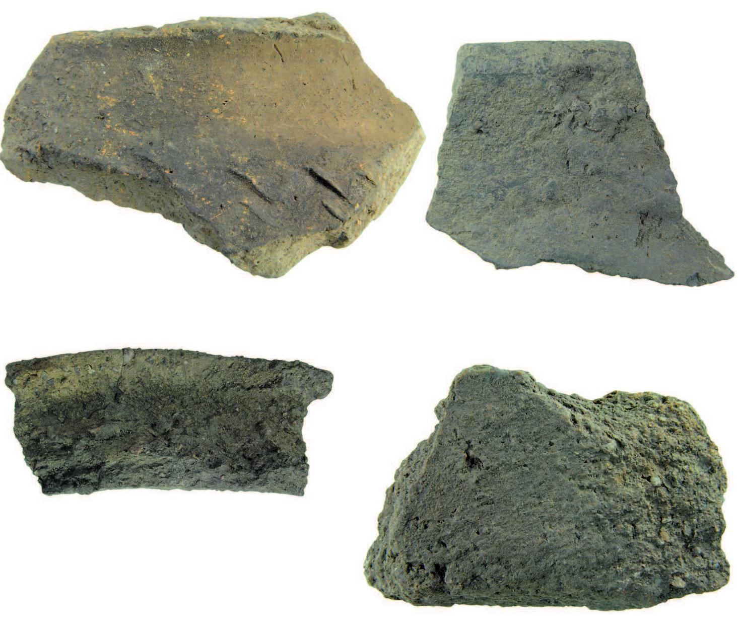 Fragmenty wczesnosredniowiecznych naczyn glinianych z Suchania i Wapnicy  Fragments of early medieval pottery vessels from Suchan and Wapnica 