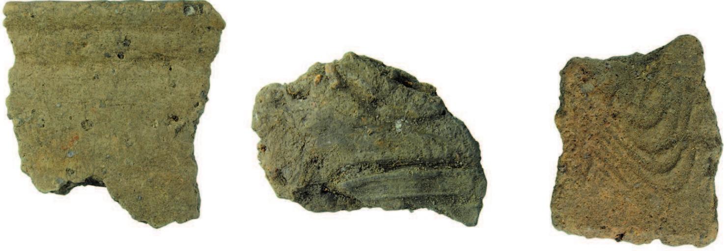 Fragmenty naczyn glinianych z domniemanego grodziska w Tarnowie Pottery vessel fragments from the unconfirmed hillfort at Tarnowo  -ragmenty naczyn glinianych z domniemanego grodziska w Tarnowie  Pottery vessel fragments from the unconfirmed hillfort at Tarnowo 