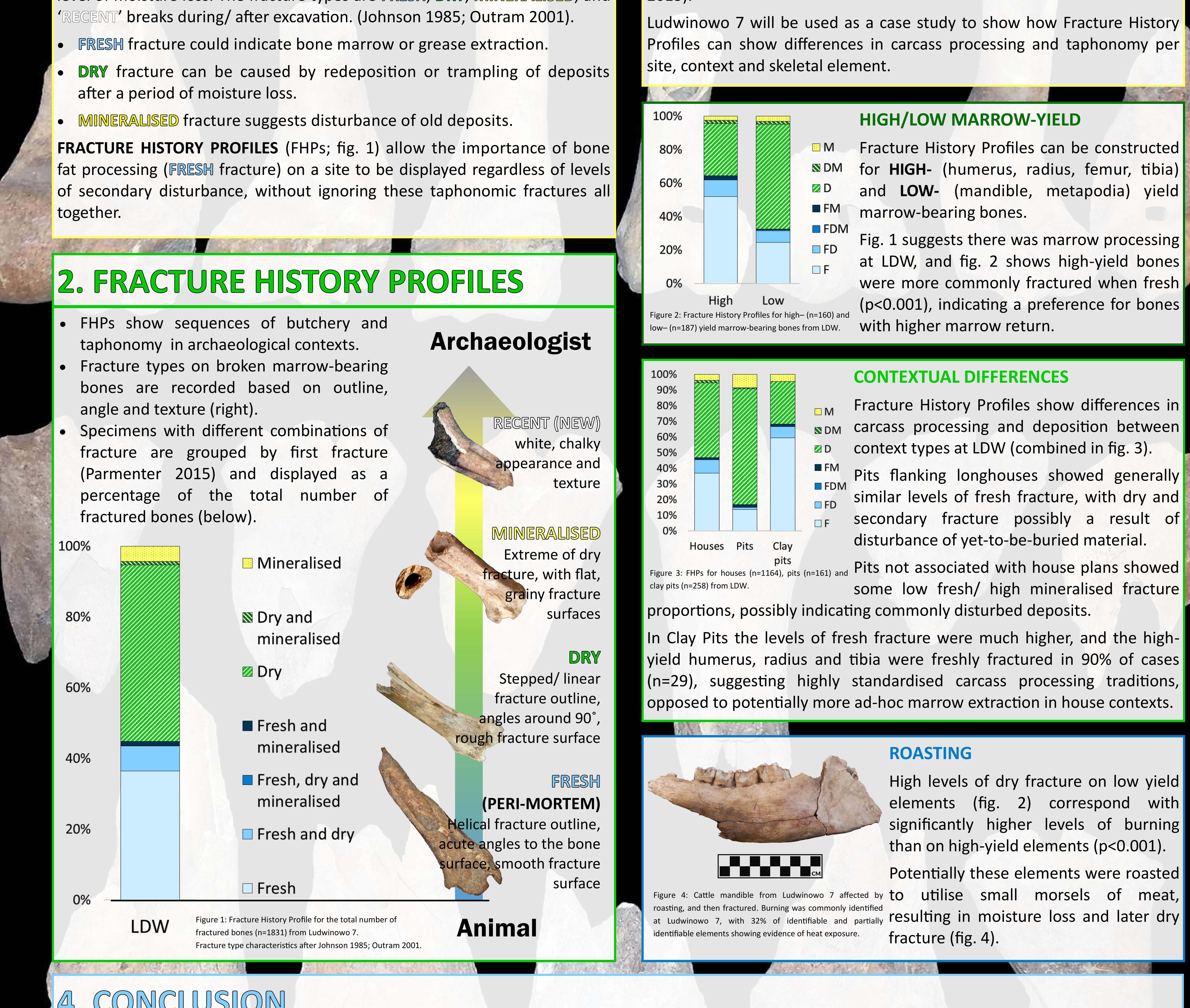 (PDF) From Animal to Archaeologist: profiling sequences of butchery and ...