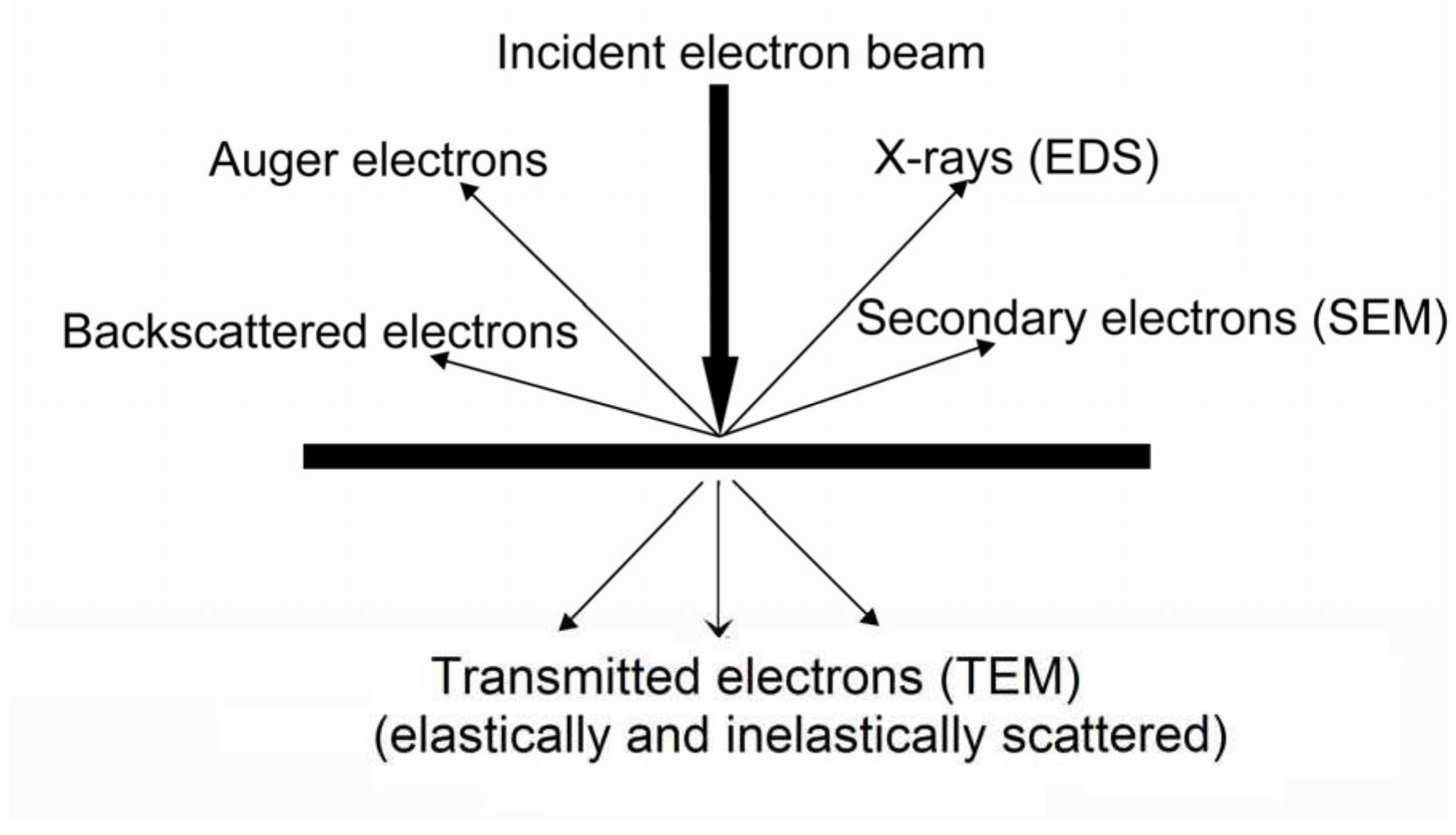 5. schematic representation of the different processes