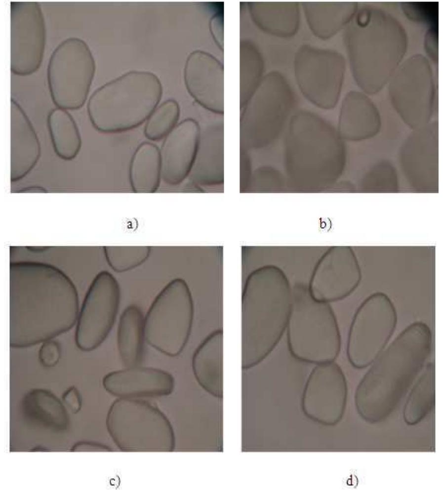 (PDF) Physicochemical and pasting properties of starch extracted from ...