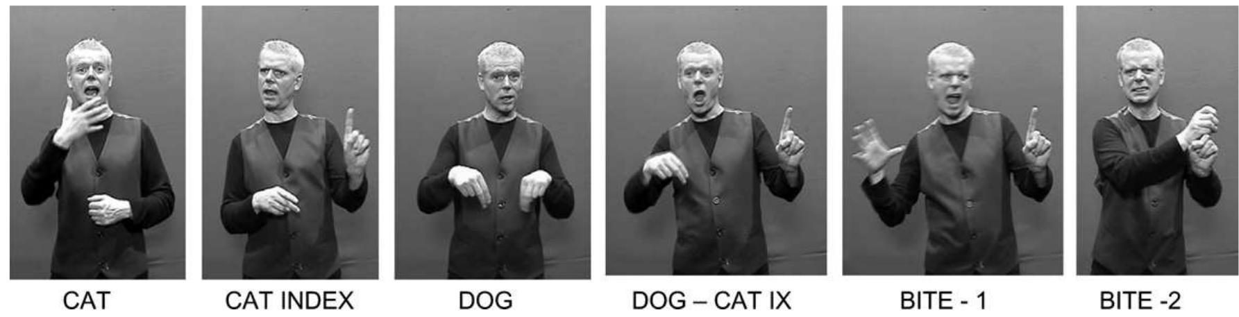 Figure 6 - from Testing comprehension abilities in users of