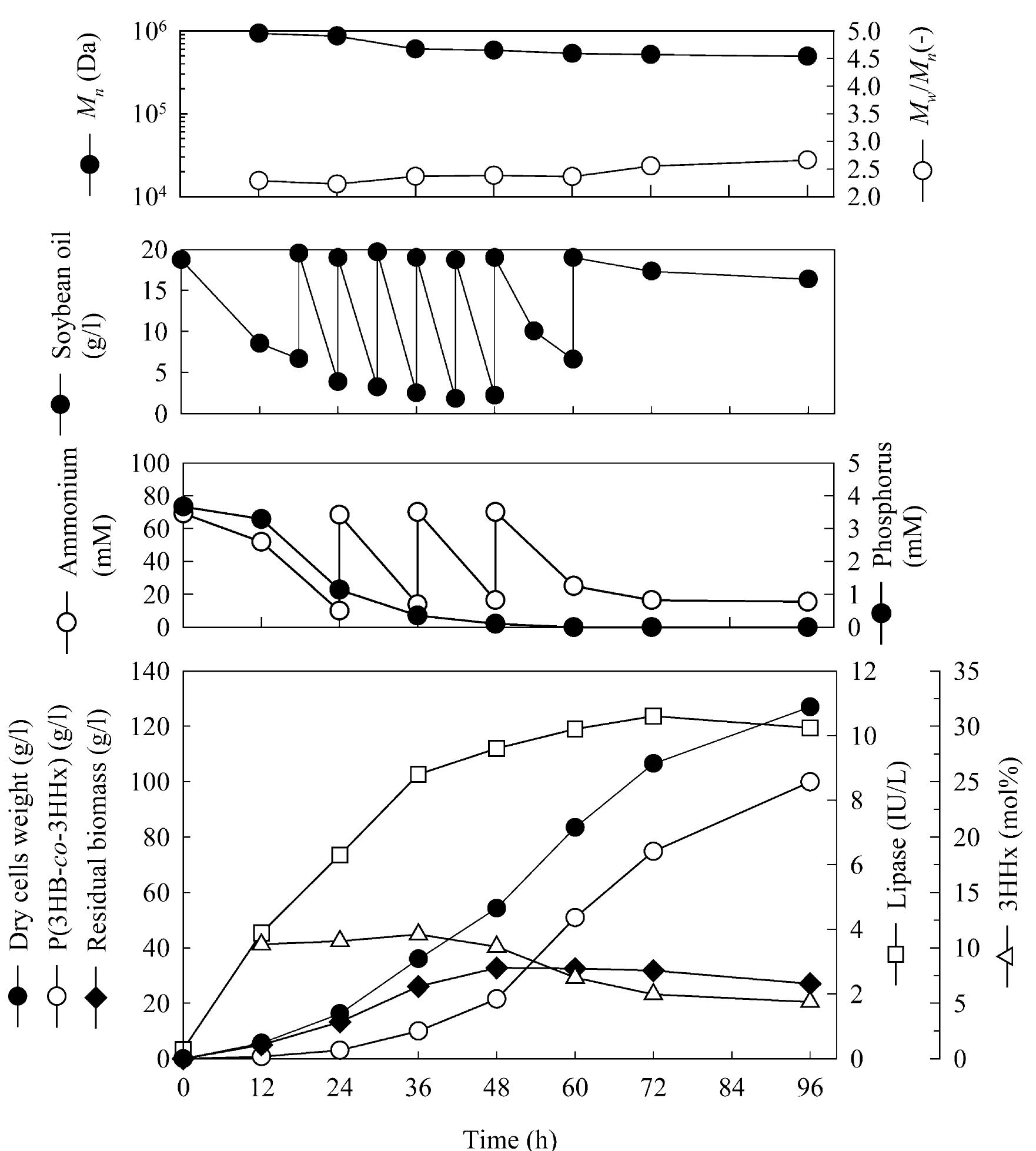(PDF) High yield production of polyhydroxyalkanoates from soybean oil ...