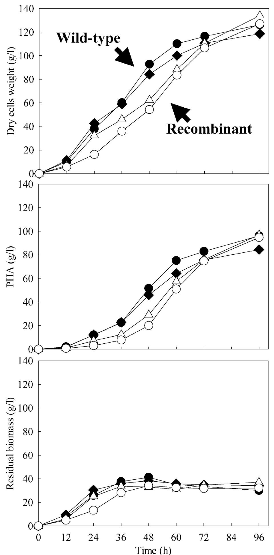 (PDF) High yield production of polyhydroxyalkanoates from soybean oil ...