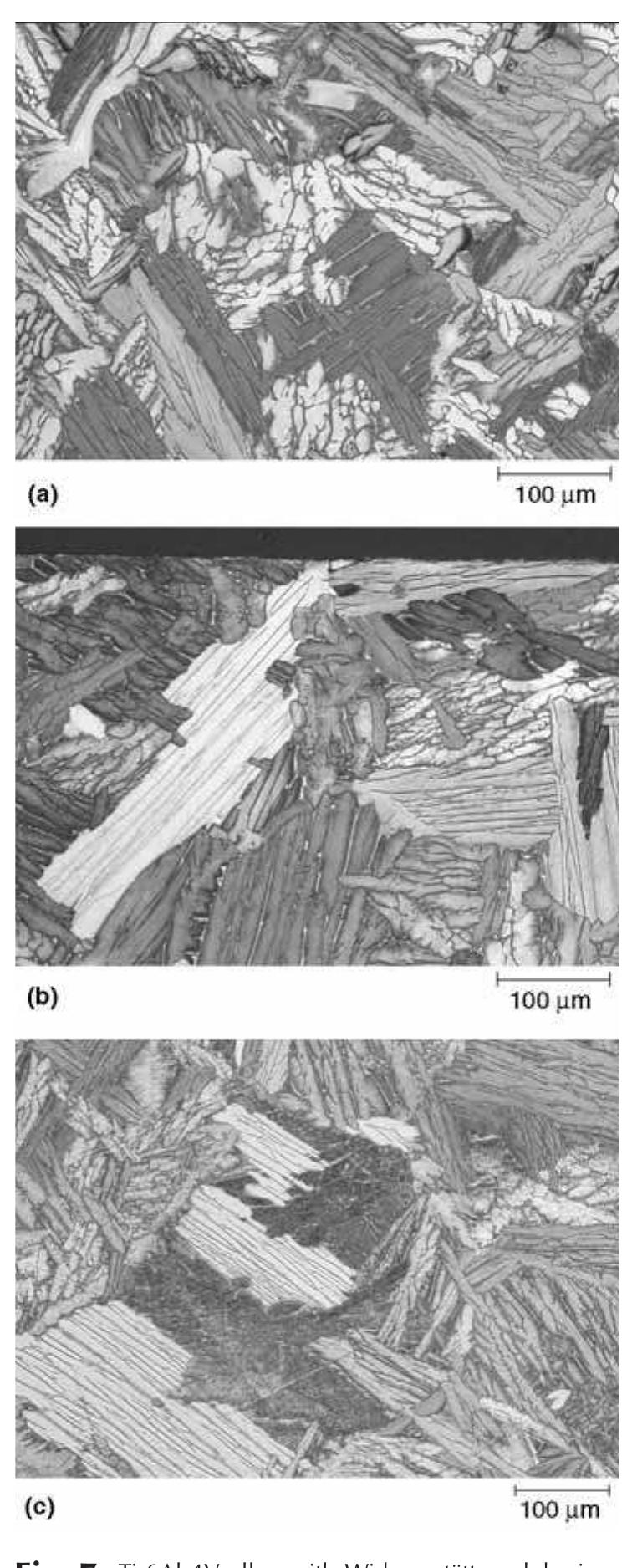(PDF) Metallography and Microstructures of Titanium and Its Alloys