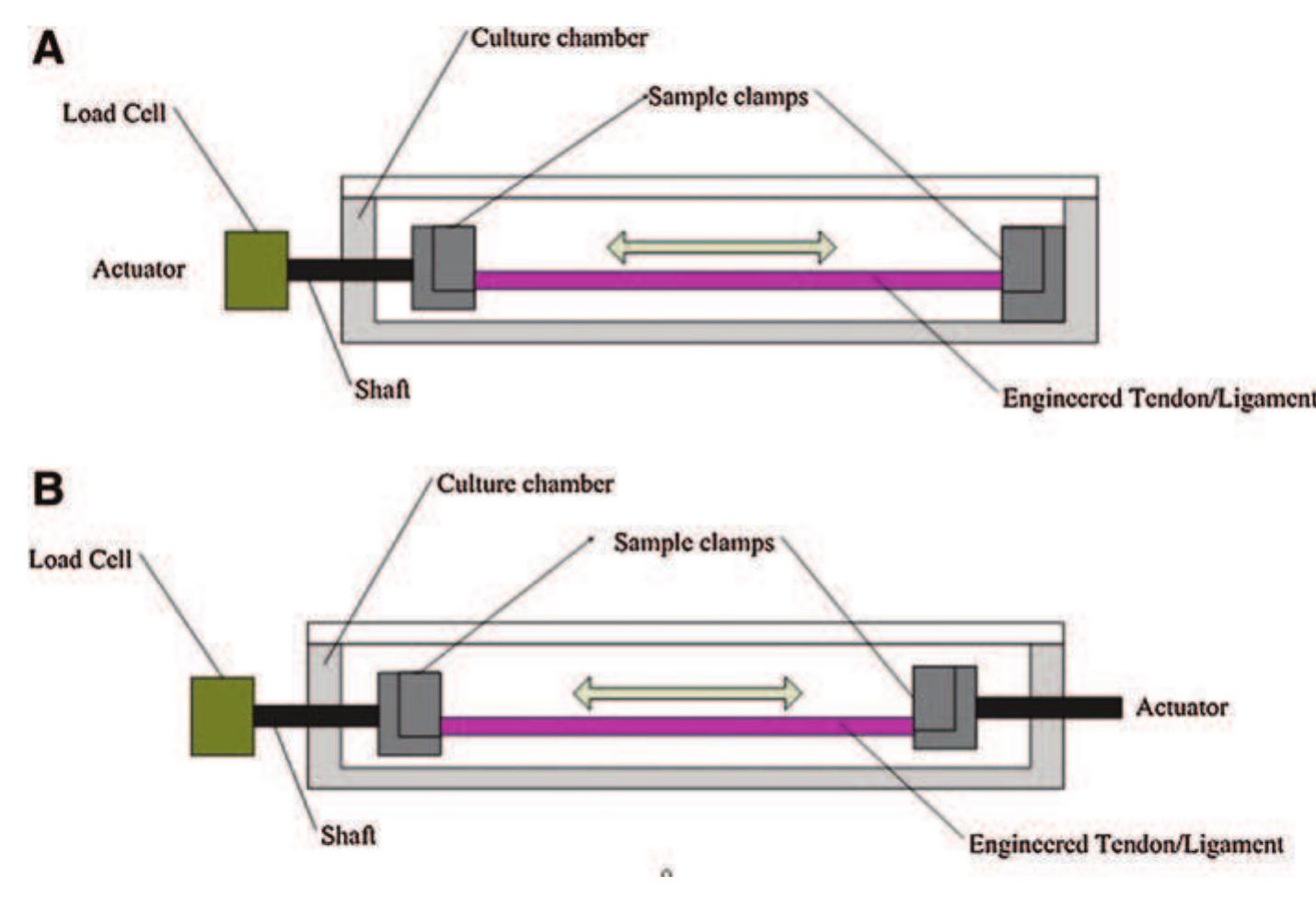 Figure 7 - Bioreactor Design for Tendon/Ligament Engineering