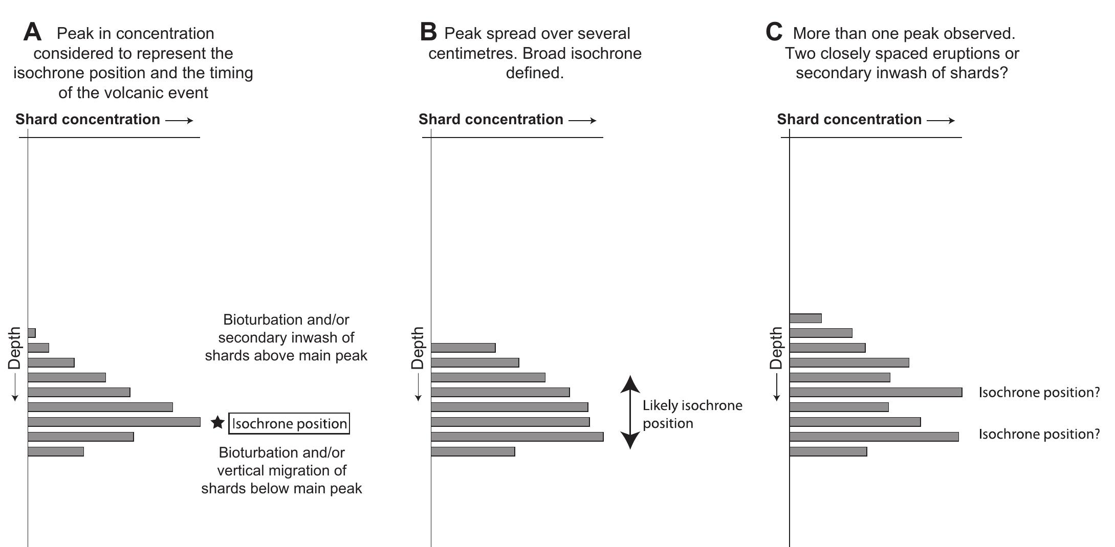 Schematic representation of different shard profiles that