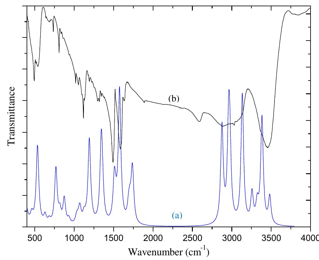 Superposition of (a) the pm3 computed ir spectra and (b) the