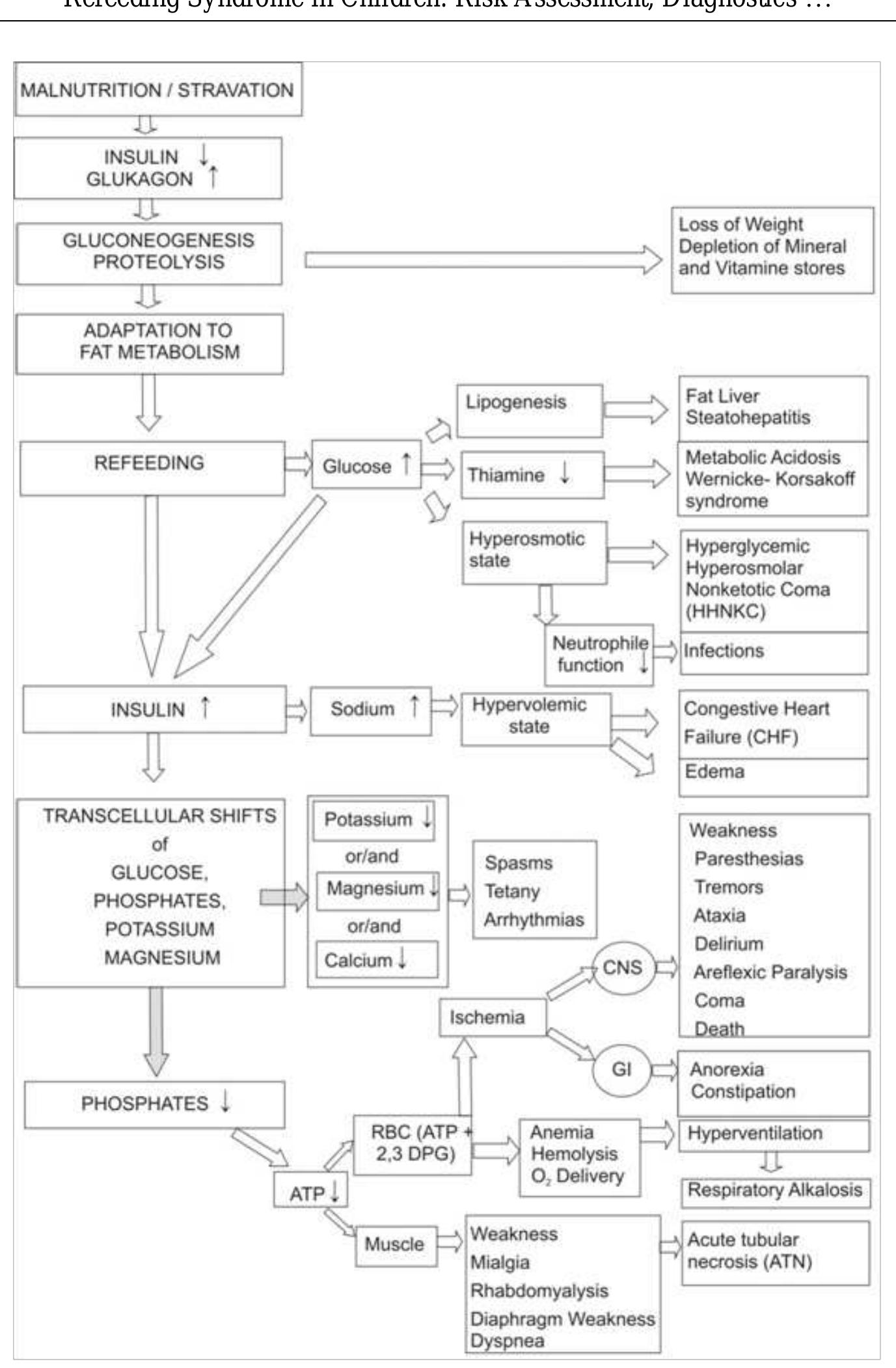 Refeeding Lab Values (PDF) Refeeding Syndrome in Children: Risk Assessment, Diagnostics and ...