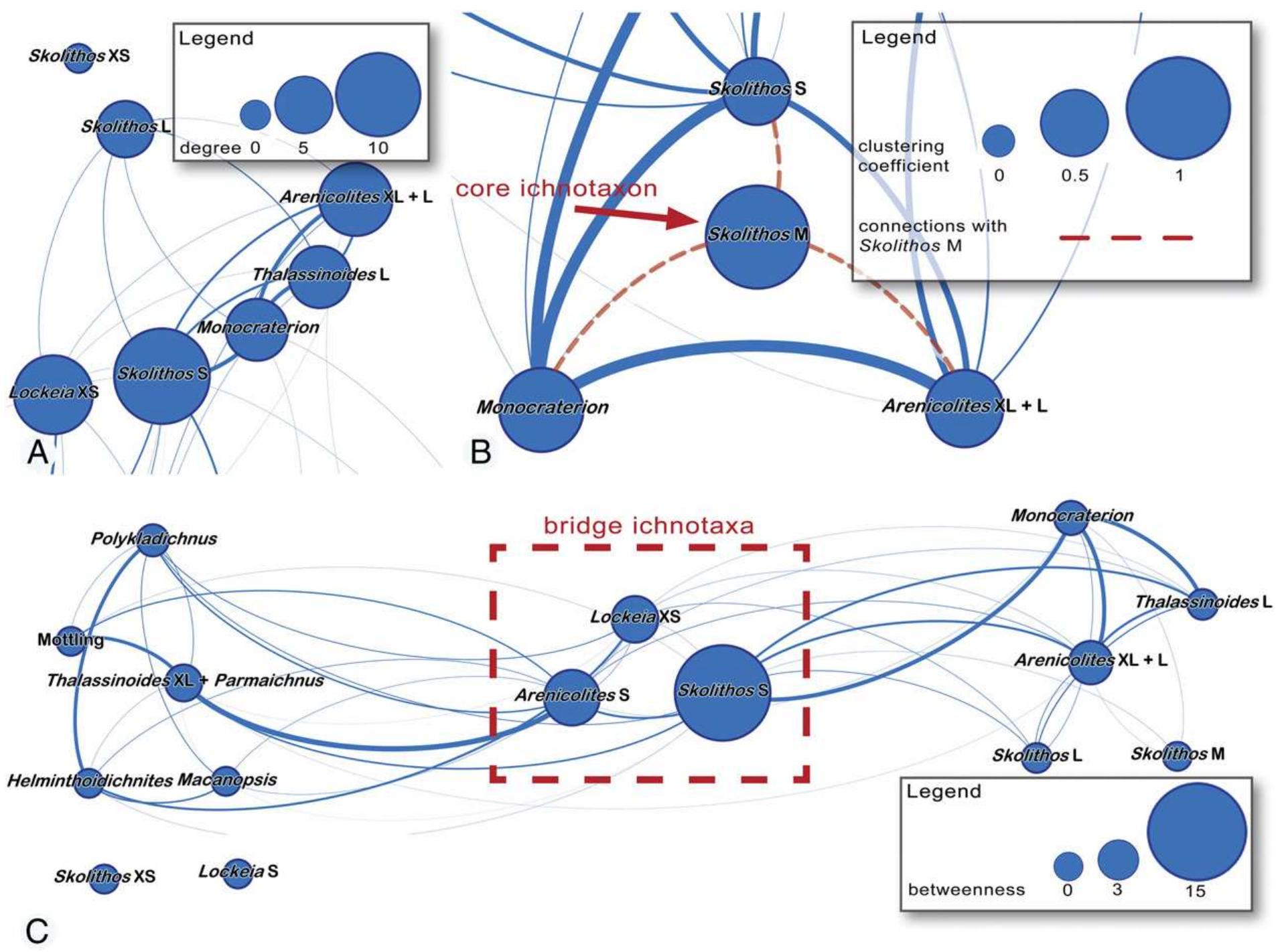 Network topology. the illustrated graphs are fully