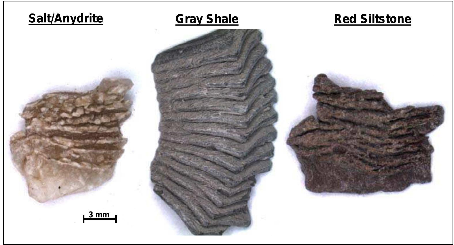 “platelets” displaying bit-generated textures common to