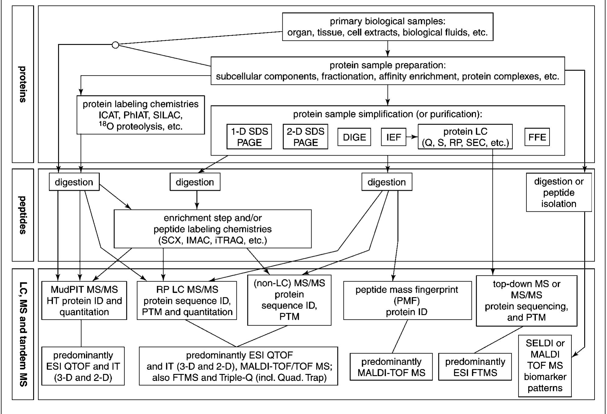 1.3 block diagram of commonly used protein profiling