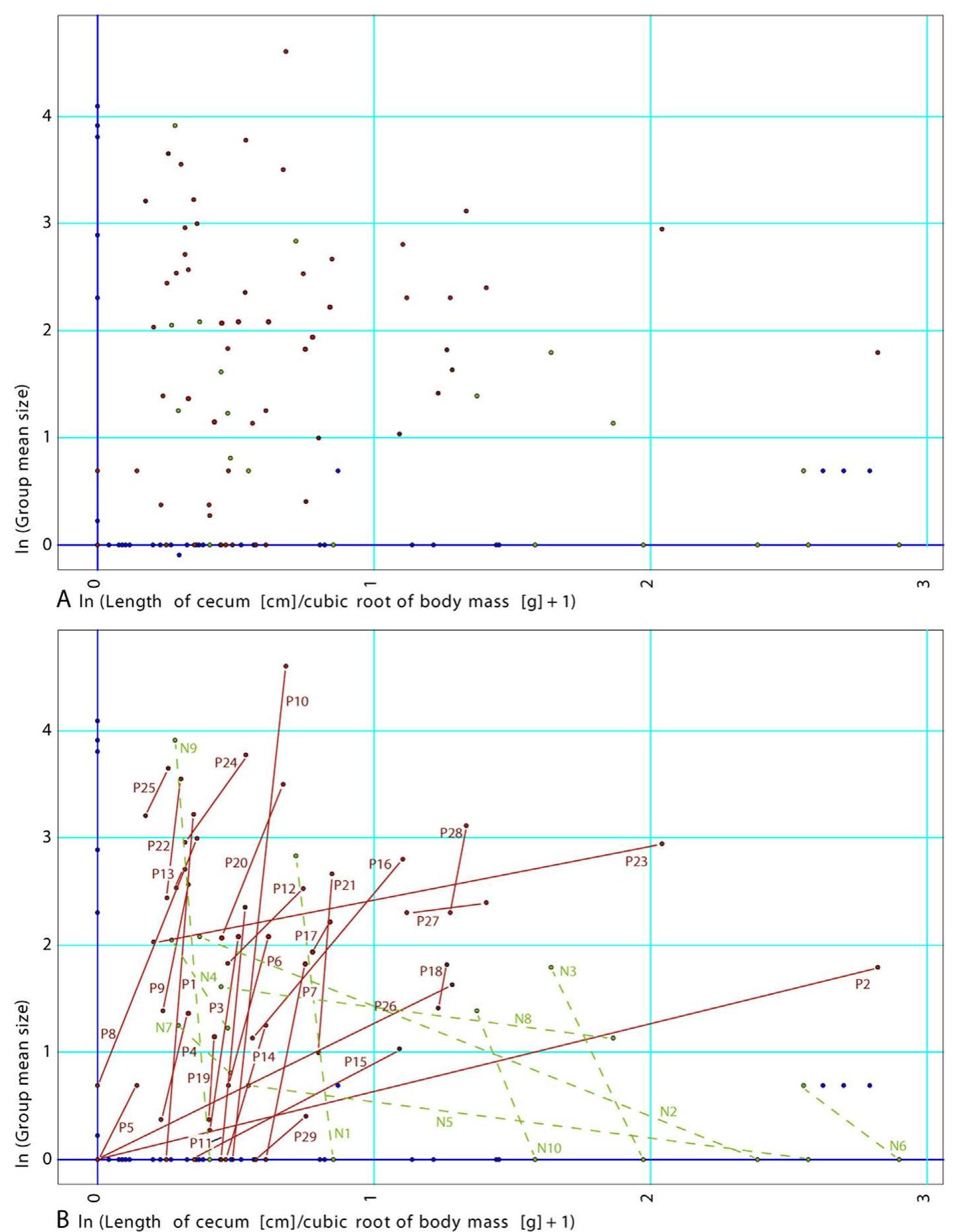 Fig. 2. Relationship between body size-corrected cecum length (x-axis) and mean group size (y-axis). A. Simple scattergram, in which no relationship i obvious. B. Same, with pairs of taxa compared by the algorithm drawing the highest number of pairs in Mesquite. Pairs that have a positive slope (soli red lines, each of which is identified by “P” followed by a number) are far more numerous (29) than pairs that have a negative slope (10; green dashe lines, each of which is identified by an “N” followed by a number). Uninformative pairs (in which a single character changes, or in which one characte has missing data) are not shown. Taxa (represented by circles) are color-coded after the polarity (positive or negative) of their pair. This pattern is high] significant (P=0.0013, for the average of examined pairing schemes). This illustrates the need for a phylogeny-informed test of comparative data. Not that there are several ways in which pairs can be selected, but all of them yield significant results, with probabilities ranging from 5.8-10-5 to 0.01185 (thi range in probabilities reflects the fact that the exact number of positive and negative pairs varies a bit). This particular pairing scheme corresponds to probability of intermediate significance (P=0.0017).  Fig. 2. Relations entre longueur du caecum relative a la taille corporelle (abscisse) et taille moyenne du groupe (ordonnée). A. Diagramme de dispersio! cimnle danc leqiiel arncine relatinn n’ect Avidente R Te mame aver lec nairec de taynane cnomnaréec nar l’alanrithme 4tahliccant le nlie crand nnmbhr 