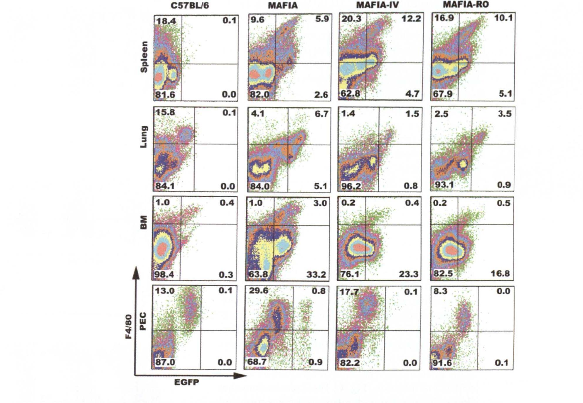 (PDF) Comparison of the lateral tail vein and the retro-orbital venous ...
