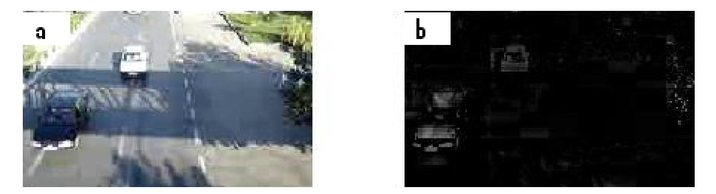 Figure 11. Moving object detection based on saturation and value. (a) Video frame number 22(b) moving object based on saturation and value. 