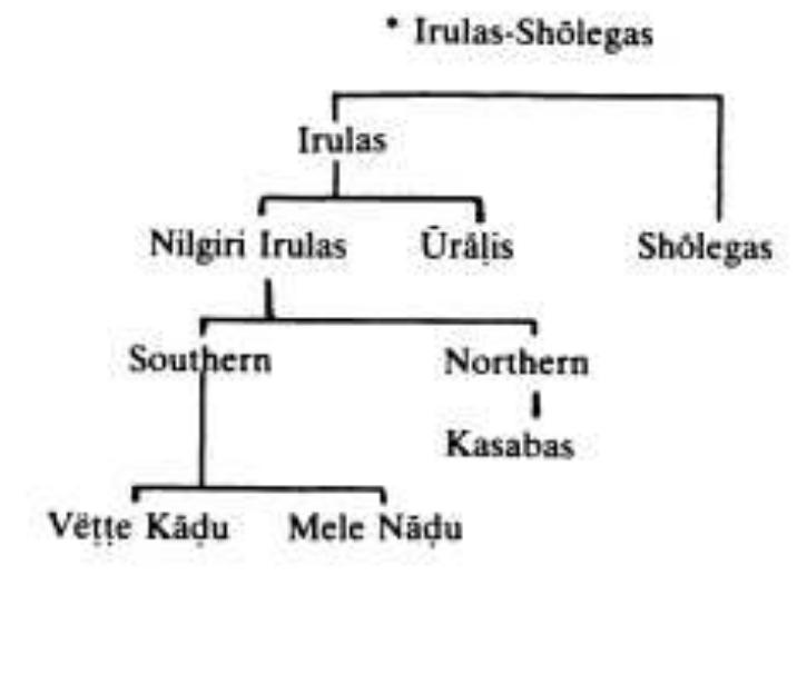 (PDF) An analysis of Social Organisaion and Customs of The Irula Tribe