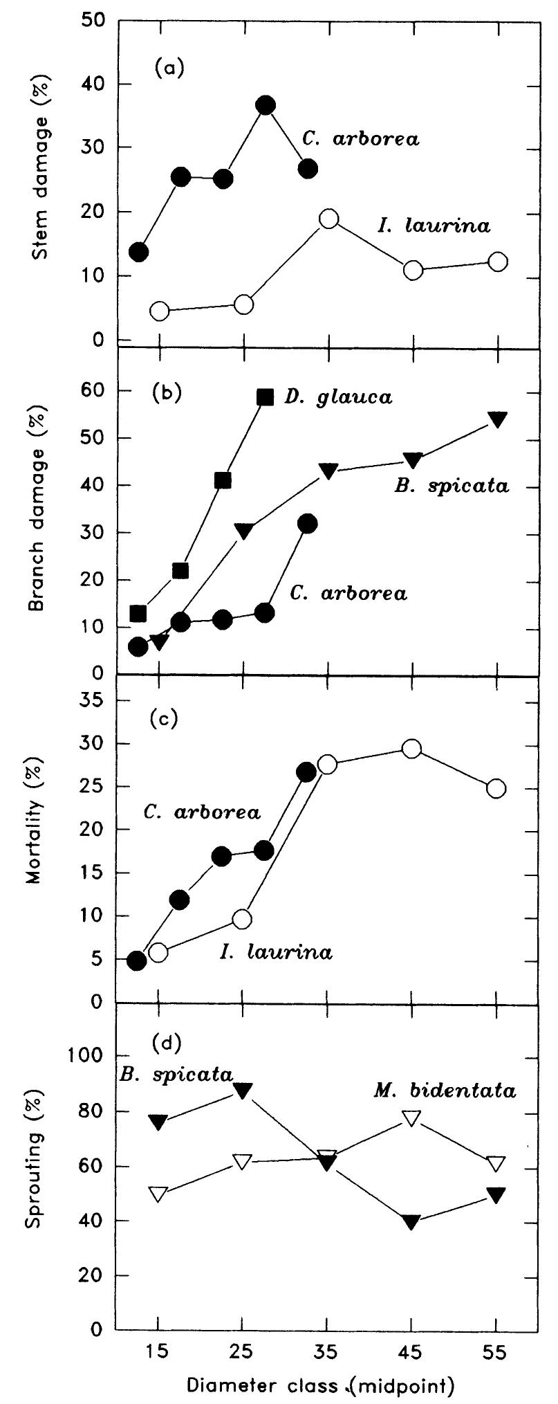 Dbh Pattern Examples of species-specific patterns of hurricane damage,