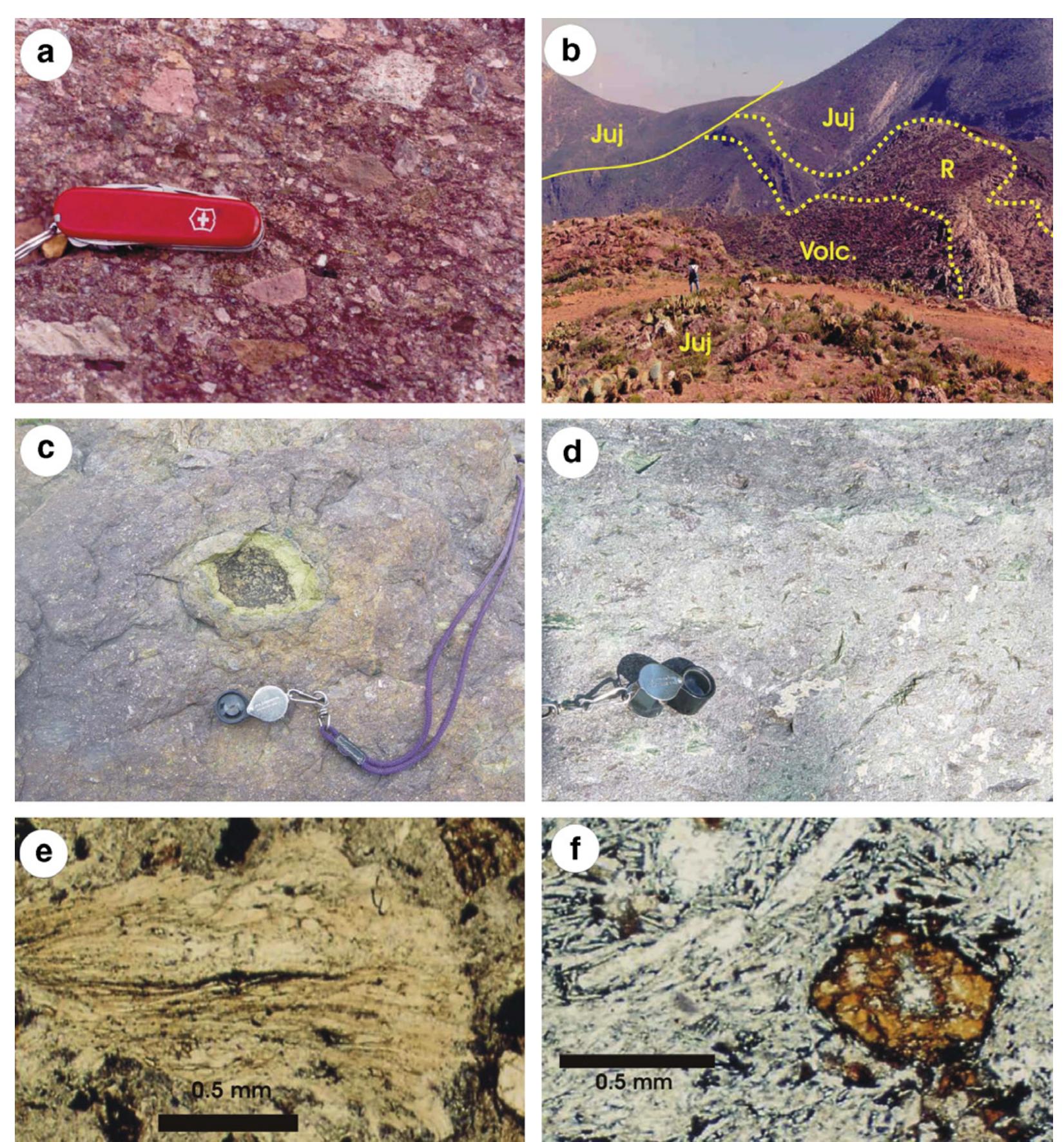 Figure 1 - from The early Mesozoic volcanic arc of western
