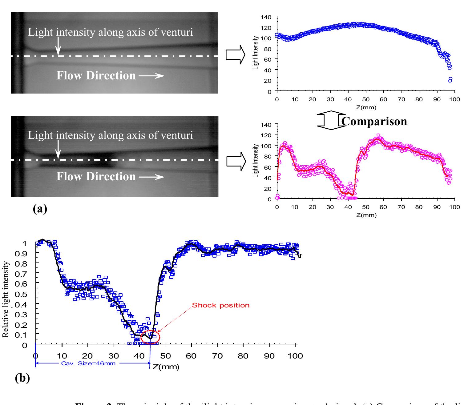 Figure 2 - Instability of the cavitating flow in a venturi