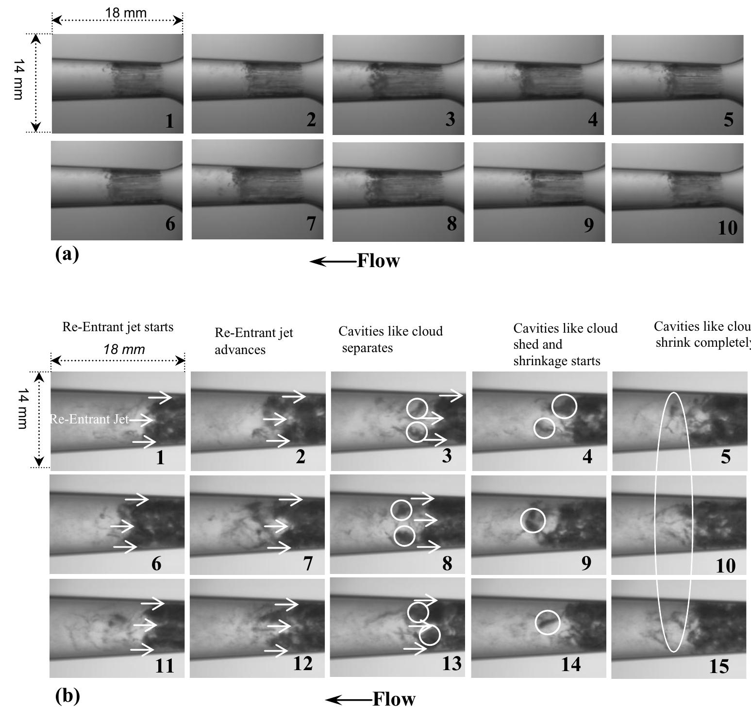 (PDF) Instability of the cavitating flow in a venturi reactor