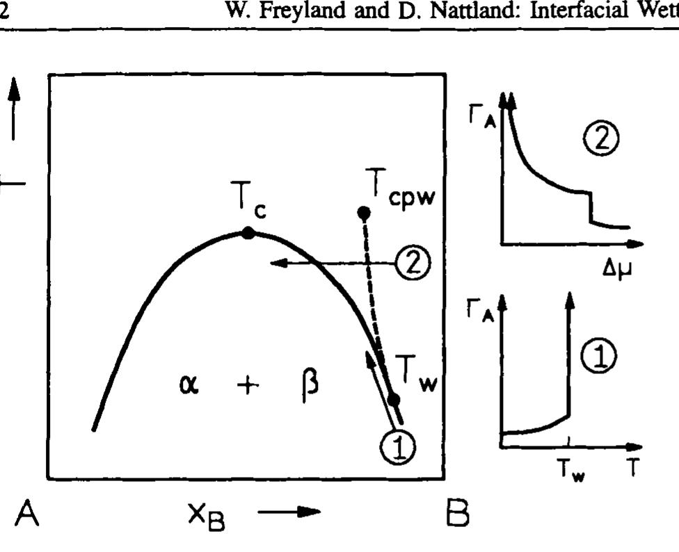 Aor” schematic bulk phase diagram of a binary liquid mixture