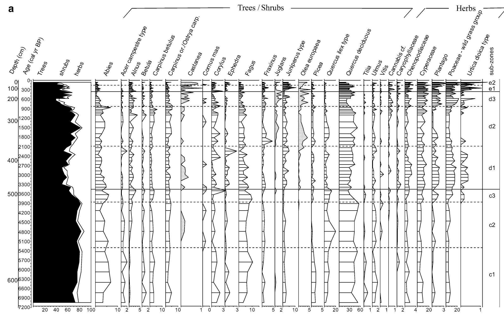 indicators’ includes Centaurea nigra type, Plantago lanceolata type, Urtica dioica type (black curve), C. cyanus, P. media/major, P. undiff., Artemisia, cf. Cannabis, Convolvulus, Mercurialis, Papaver rhoeas type, Polygonum aviculare type and Rumex  Fig. 4 Core RF93-30, pollen diagram, age scale. a percentages of selected taxa; b percentages of selected taxa, and sums. Pollen sum excludes Pinus, Cichorioideae and cereal pollen. The curve of ‘other Mediterranean’ includes Myrtus, Pistacia and Phillyrea; ‘cultivated trees’ includes Castanea, Juglans and Olea europaea; ‘anthropogenic  The second, human, factor, is detectable in the rise of nthropogenic pollen indicators. Castanea, Juglans and Jlea pollen become more abundant, also increasing at the op. There is a general increase of Cichorioideae (14%), -oaceae and Cyperaceae (12% each), and less abundantly  At around 3900 cal. B.p. (522 cm), deciduous oaks and other broadleaved trees reach maximum values. Then gradually increasing landscape openness coincides with a dramatic fall of oaks at around 3600 cal. B.p. (IIIc3). This loss of woodland corresponds to the beginning of Middle Bronze Age settlements in the Po valley. 