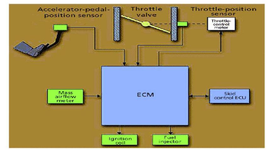 Throttle position sensor the throttle position sensor (tps)