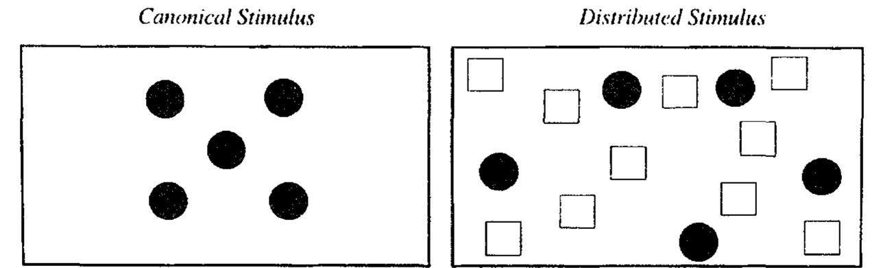 Fig. 1. Examples of stimuli employed (not to scale).  Children were tested as part of a broader investigation of working memory abilities (Russell et al., 1996). The test reported here was used as a check of the counting speeds of the children in each group. Children were told that they simply had to count, as quickly as possible, the number of black dots they saw. Twelve canonical stimuli were presented first, followed by 12 Distributed stimuli. In each case there were three presentations each 