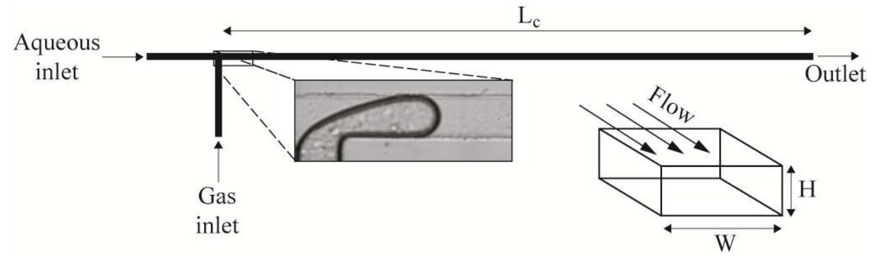 1. schematic diagram of the microfluidic device. the inset