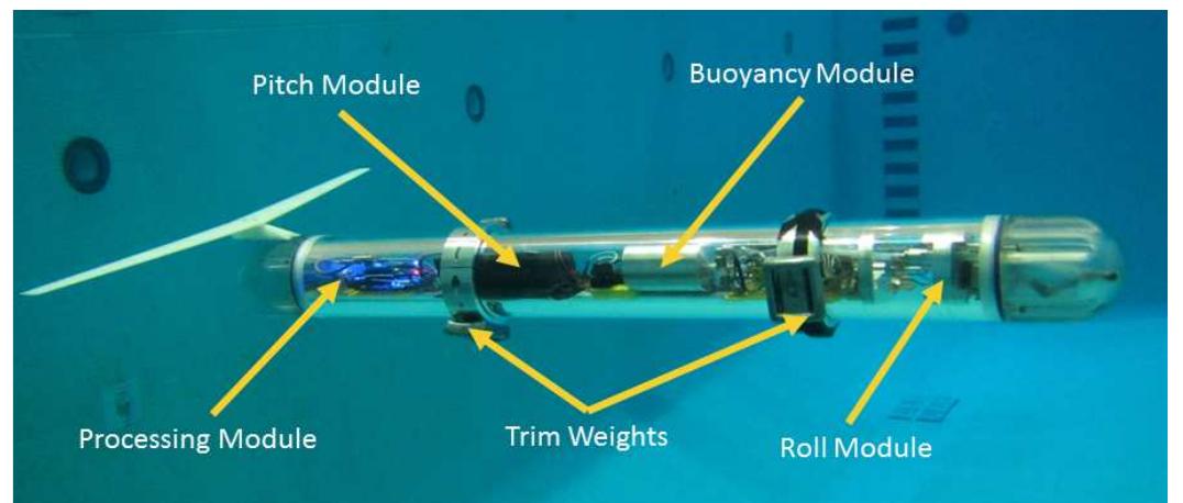 The roughie’s internal mechanisms: a) the pitch module